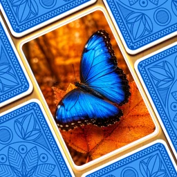 Icono de Jigsaw Puzzle: Solitaire Zen